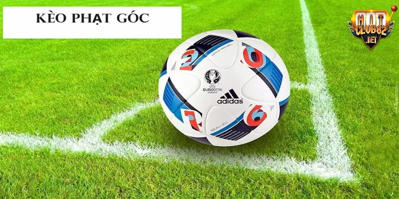 Kèo phạt góc là gì Kèo phạt góc là gì đang là hình thức cá cược quốc dân hiện nay