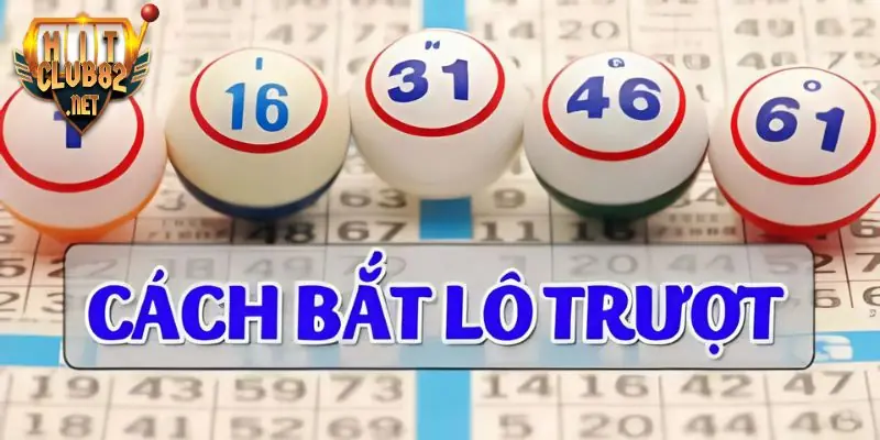 lô trượt là gì Bật mí cách bắt lô trượt hay giúp bạn giành chiến thắng